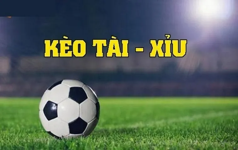 NHẬN ĐỊNH KÈO NHÀ CÁI Diver - NHẬN ĐỊNH KÈO BÓNG ĐÁ HÔM NAY MỚI NHẤT 36 Nhận Định Kèo Nhà Cái - Nhận Định Kèo Bóng Đá Hôm Nay Mới Nhất